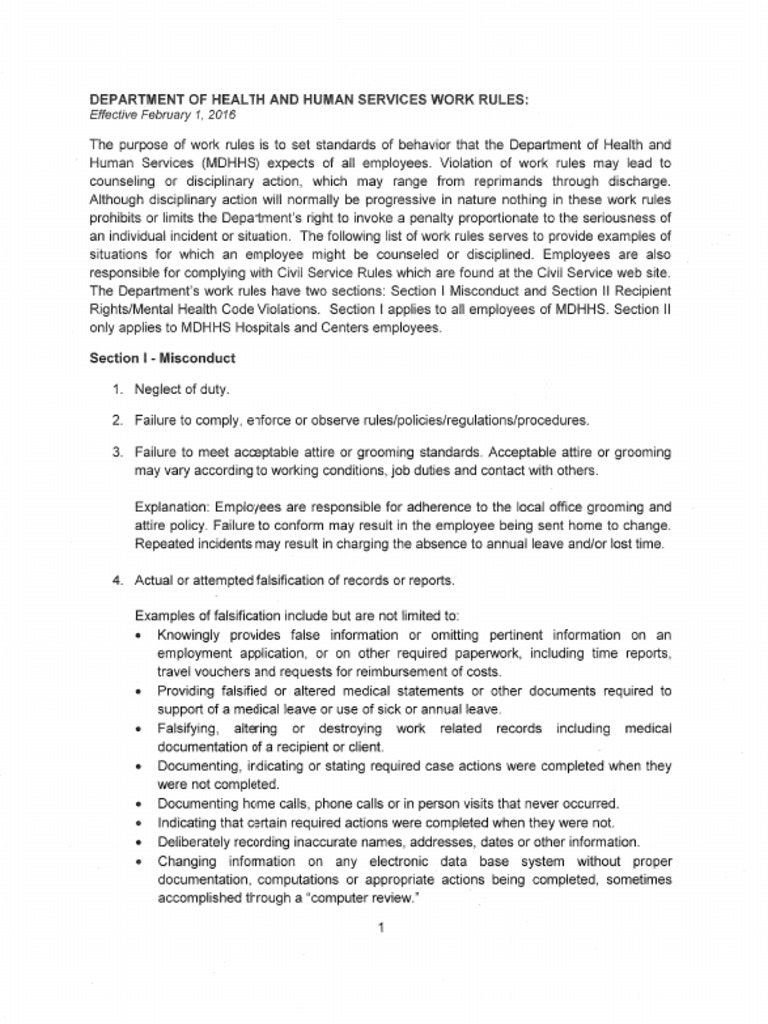 Michigan Department of Health & Human Services Work Rules | PDF