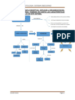 Sistema Endocrino