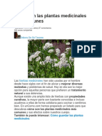 Plantas Medicinales