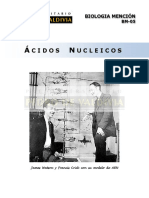 Acidos Nucleicos PDF