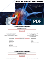 Neurotransmisores_RCPT-3