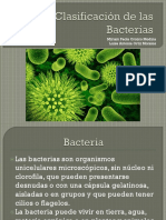 clasificacindelasbacterias-131107204235-phpapp01.pptx