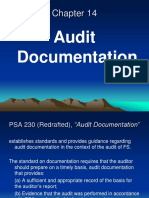Chapter 14 Audit Documentation