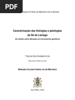Phd Bccamachados