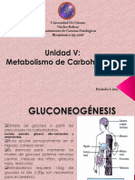 5-Unidad V. Metab Carbohidratos 2 PDF