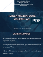 14-Biologia Molecular
