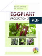 Eggplant PDF