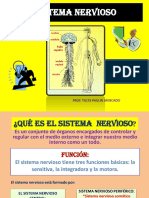 Diapositivasdelsistemanervioso 121111163440 Phpapp02