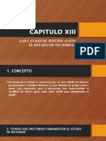 Capitulo Xiii