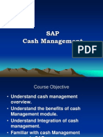 Sap Cash Management