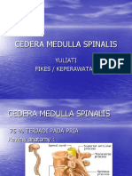 12.-Cedera-Medulla-Spinalis.ppt