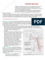 Anatomia Lez21a