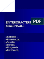 ENTEROBACT COM.ppt