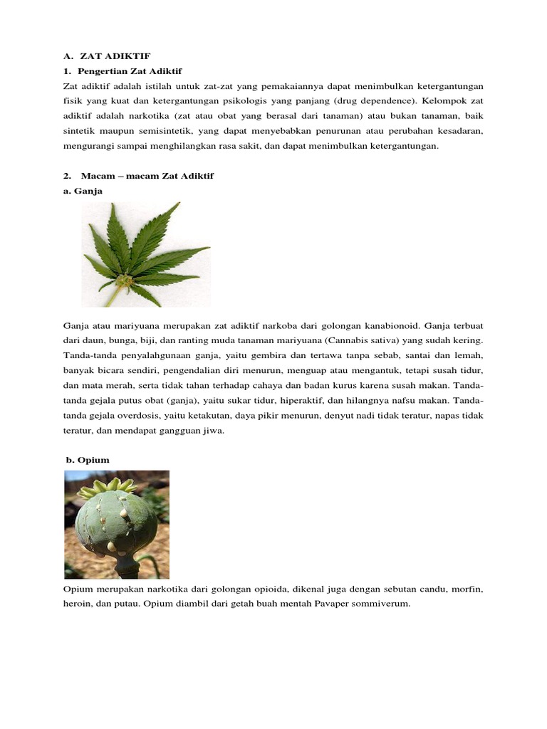 Zat Adiktif