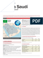 Arabia Saudi Ficha Pais