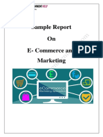 Sample Report On E - Commerce and Marketing by Experts