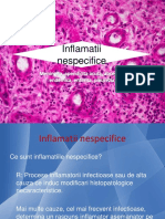 Inflam_nespec.pptx