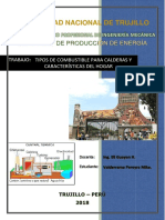 Informe Biocombustible