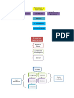 Tipos de narradores y estructuras narrativas