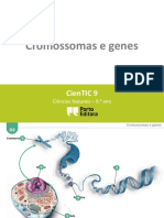 2. Cromossomas_genes_alunos.pptx