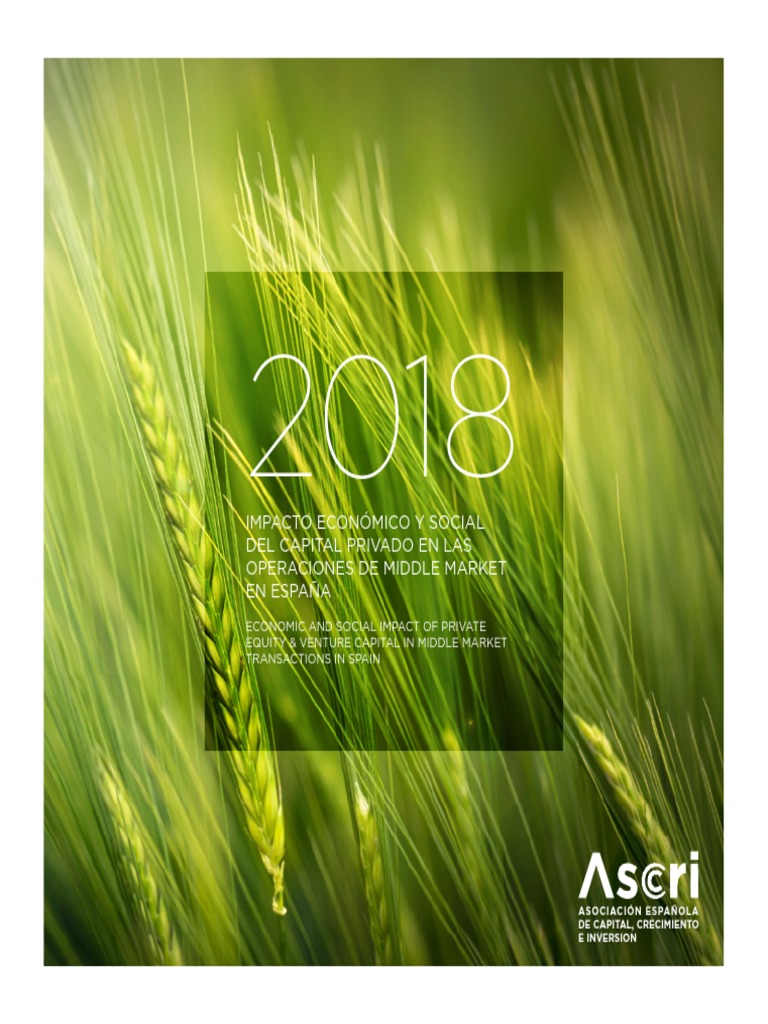 Informe de Impacto Del Capital Riesgo en Empresas Españolas | PDF ...