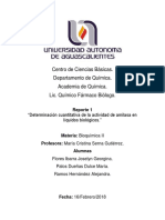 REPORTE 1.docx