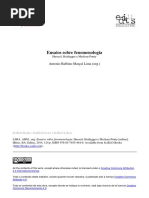 Fenomenologia, Ensaios.pdf