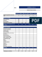 Formato de Flujo de Efectivo