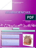 Meninges Presenta