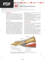 メタスピードray 27.5cm Omfs | PDF | Optics