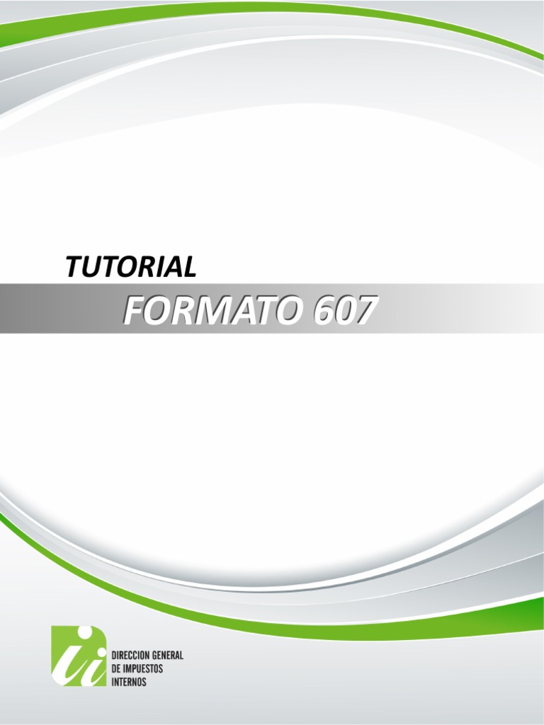 Formato 607 | PDF | Contribuyente | Business