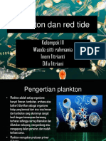 Plankton Dan Red Tide II