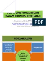 Peran Dan Fungsi Bidang Dalam Promosi Kesehatan