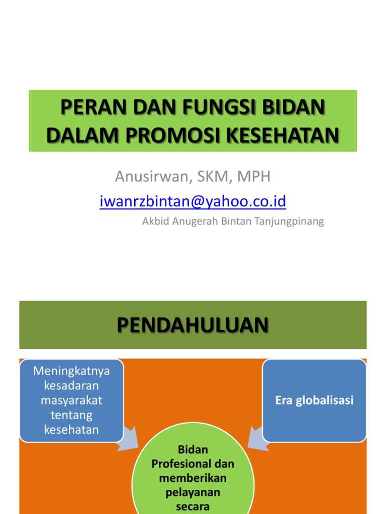 Peran Dan Fungsi Bidang Dalam Promosi Kesehatan