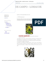 TRABAJO DE CAMPO - LOMAS DE LUCUMO - 1. FLORA (Plantas) PDF