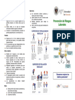 Triptico Postura Ordenador PDF