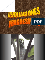 defoliaciones-progresivas