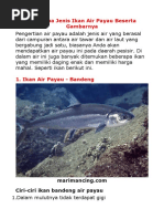 Download Ikan Air LautTawar Dan Payau by Puji Astutik SN373443166 doc pdf