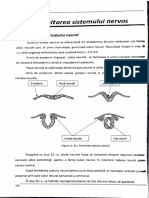 Embriologie Colocviu An 2 Sem2