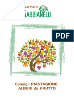 Consigli Piantagione Alberi Da Frutto PDF