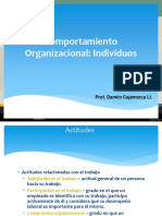 Comportamiento organizacional individual