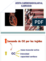 Cardiovascular I