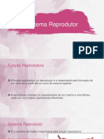 Sistema Reprodutor