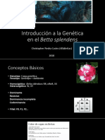 Introducción A La Genética en El Betta Splendens