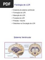 Aula Formação Líquor