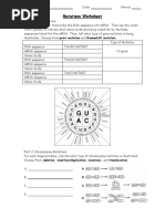 Mutations Worksheet 2