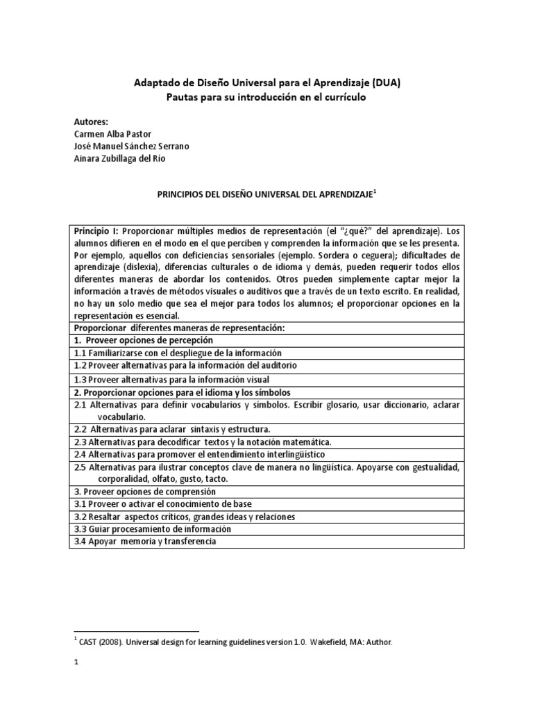 Diseño Universal para el Aprendizaje | PDF | Información | Memoria