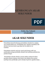 Akar Sekunder