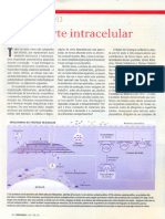 Transporte.intracelular.nobel.2013.1