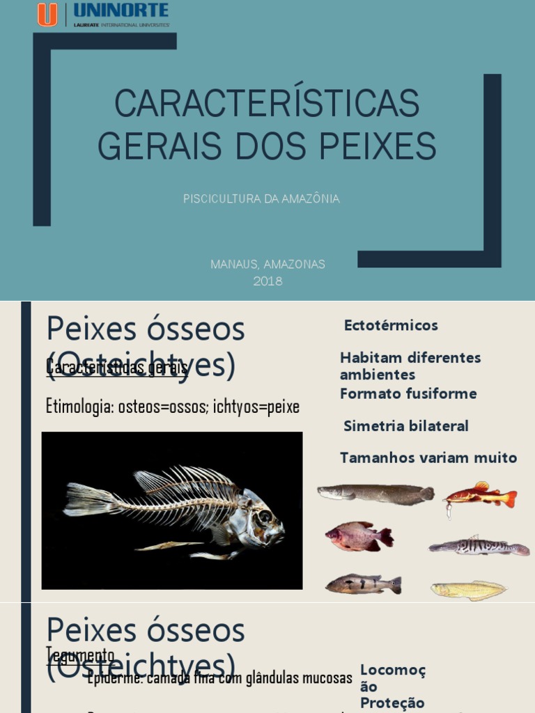 Características Gerais Dos Peixes Aula 01 | PDF